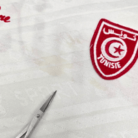 1994/96 Tunisia Home Football Shirt (L) Campione (Rothman Cup) - Football Finery - FF301002