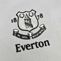 2001/02 Everton Away Football Shirt (L) Puma 10 Ferguson - Football Finery - FF301448