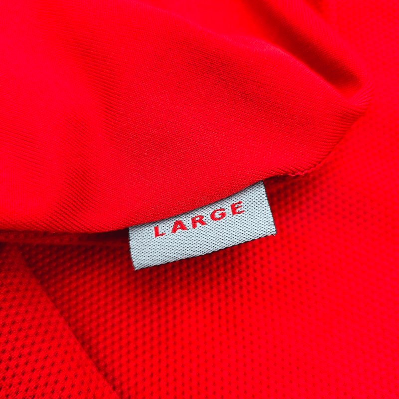 2004/06 Wales Home Football Shirt (L) Kappa 8 Bellamy - Football Finery - FF302413