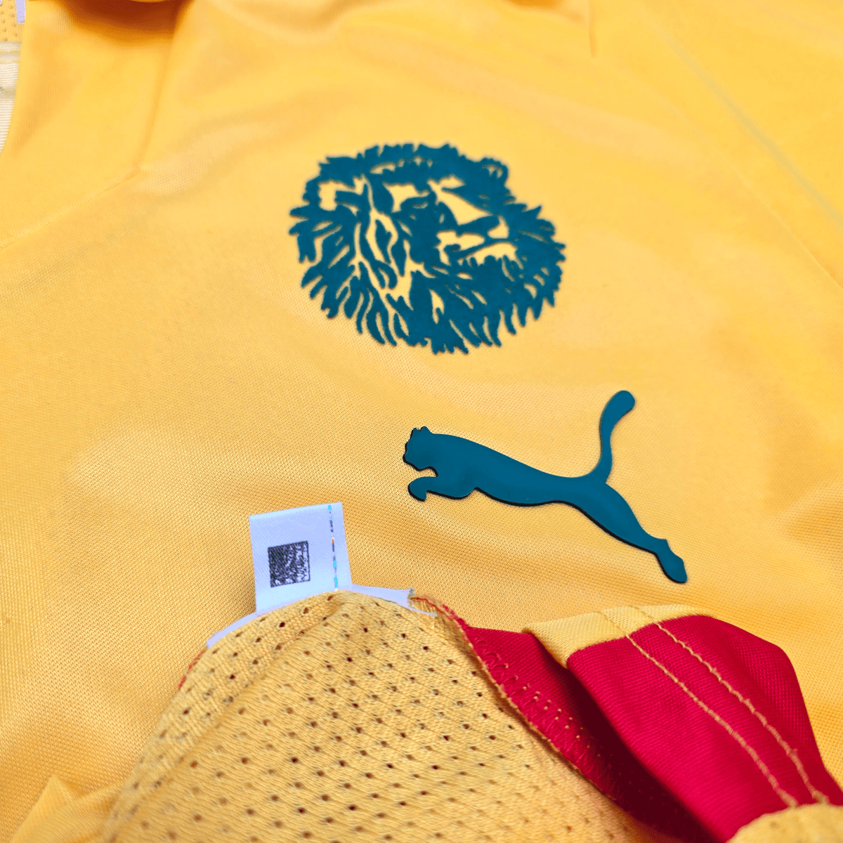 2008/10 Cameroon Away Football Shirt (M) Puma - Football Finery - FF304372