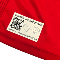 2012/13 Chile Home Football Shirt (L) Puma - Football Finery - FF304262
