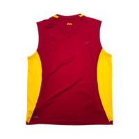 2012/13 Ghana Training Vest Football Shirt (2XL) Puma - Football Finery - FF304284