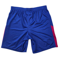2017/18 Barcelona Football Shorts (S) Nike | Home - Football Finery - SS10014
