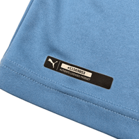 2018/19 Uruguay Home Football Shirt (XL) Puma 21 Cavani - Football Finery - FF302023