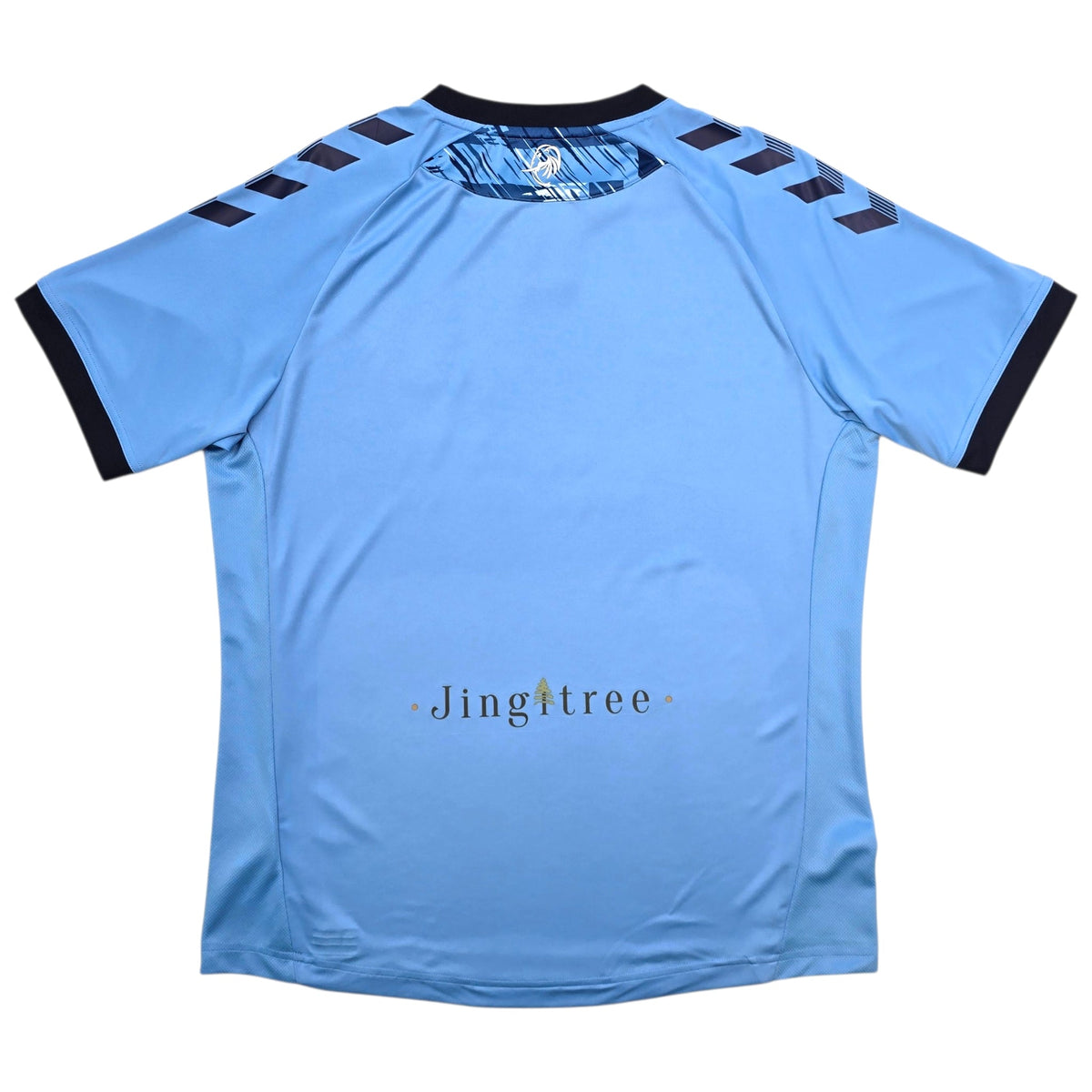 2020/21 Coventry City Home Football Shirt (M) Hummel - Football Finery - FF305417