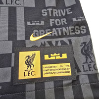 2024/25 Liverpool Training Top (S) Nike X LeBron James - Football Finery - FF304599