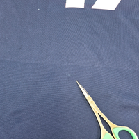 2023/24 PSG Home Football Shirt (S) Nike #17 Vitinha