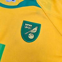 2008/10 Norwich City Home Football Shirt (L) Xara