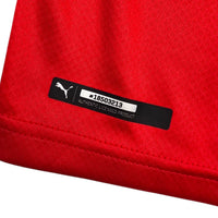 2020/21 Switzerland Home Football Shirt (M) Puma (Squad Signed)