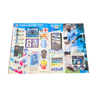 Panini Official 2020 Premier League Sticker Album (Complete)