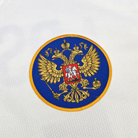 2006/07 Russia Away Football Shirt (L) Nike #10 Arshavin