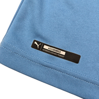 2018/19 Uruguay Home Football Shirt (XL) Puma #21 Cavani