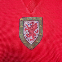 1976/79 Wales Home Football Shirt (S) Admiral