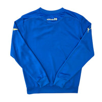 2008/09 Hoffenheim Training Sweater (S) Puma