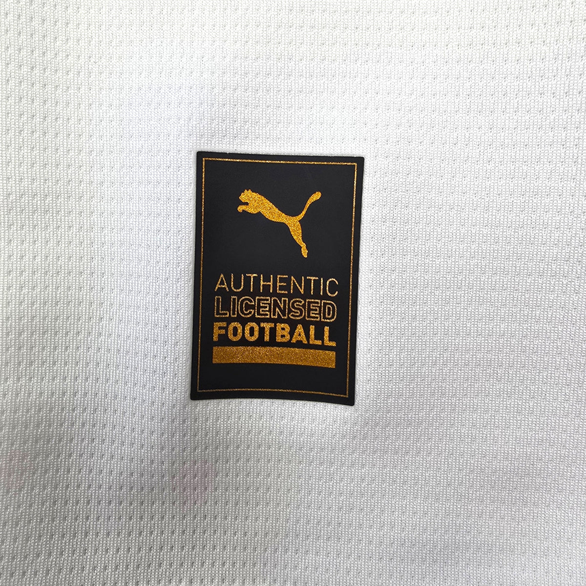2024/25 RB Leipzig Home Football Shirt (L) Puma #30 Sesko (BNWTs)