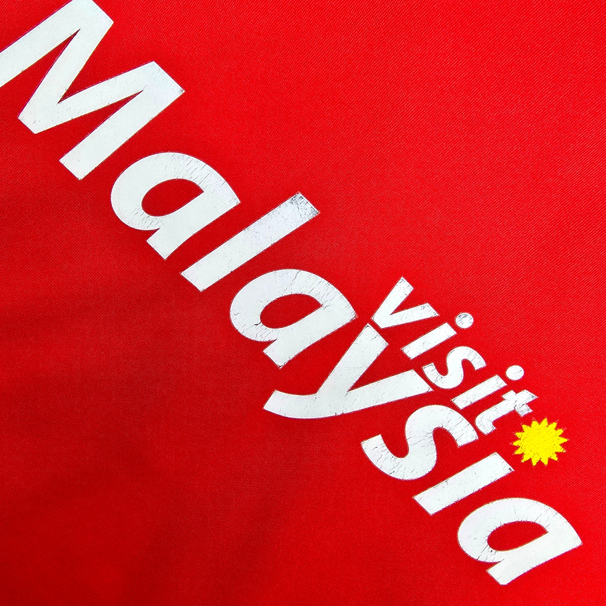 2013/14 Cardiff City Home Football Shirt (L) Puma #36 Zaha