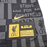 2024/25 Liverpool Training Top (S) Nike X LeBron James
